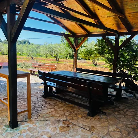 Apartman Orange Tree Garden