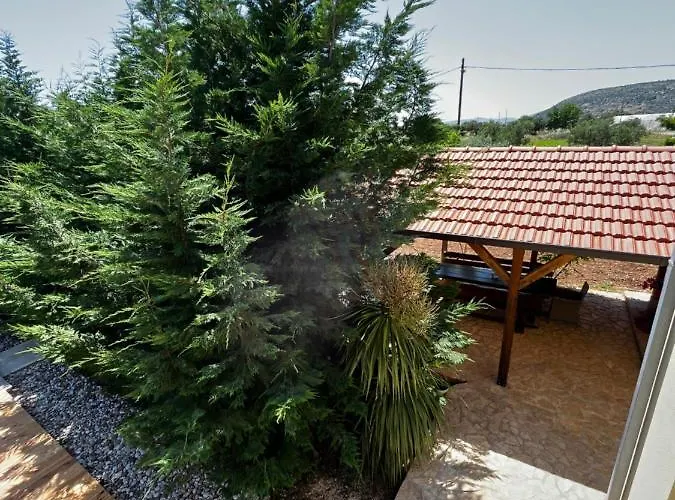Orange Tree Garden