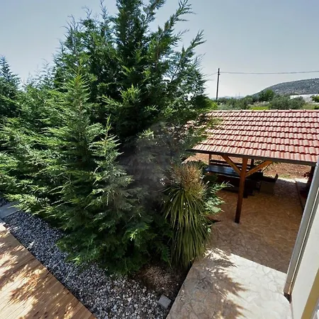 Orange Tree Garden
